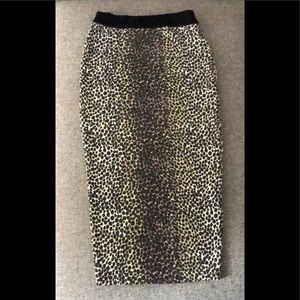 D&G Dolce & Gabbana High Waisted Skirt